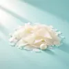 Керамиды (церамиды)
